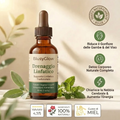 Lymphatique